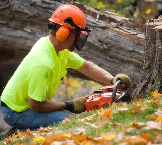 tree services Richmond Heights